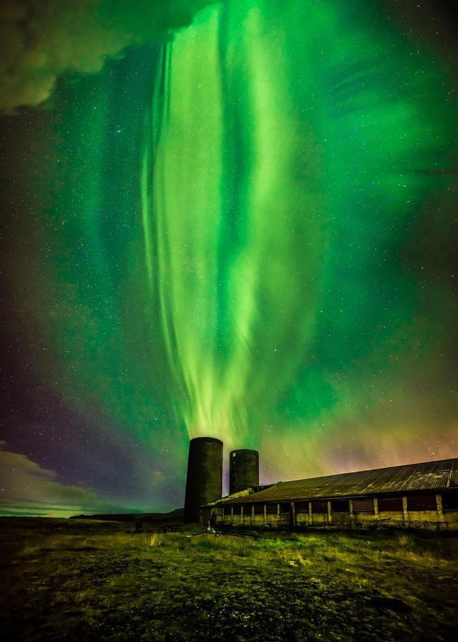 Fox Hotel Reykjavík Eksteriør bilde