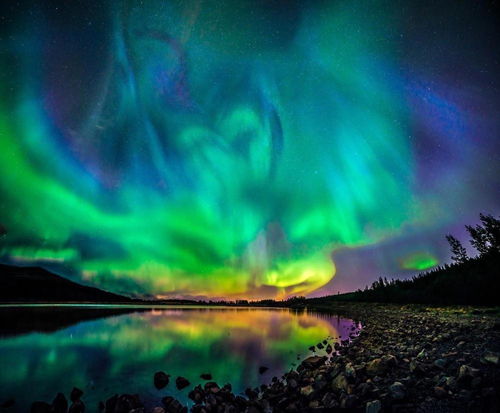 Fox Hotel Reykjavík Eksteriør bilde